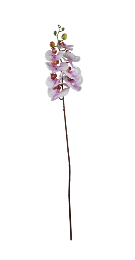 Artificial Phalaenopsis Orchid — Blush Veil | Vyne Boutique