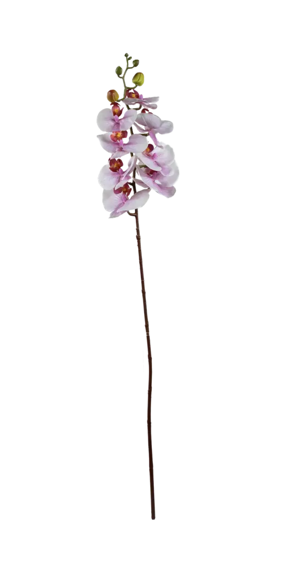 Artificial Phalaenopsis Orchid — Blush Veil | Vyne Boutique