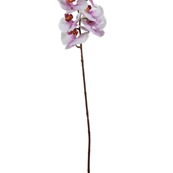 Artificial Phalaenopsis Orchid — Blush Veil | Vyne Boutique