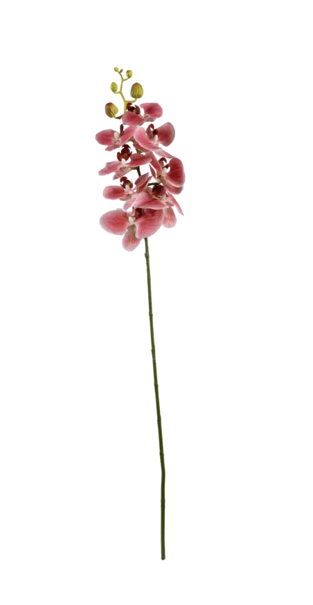 Artificial Phalaenopsis Orchid — Rose Petal Pink | Vyne
