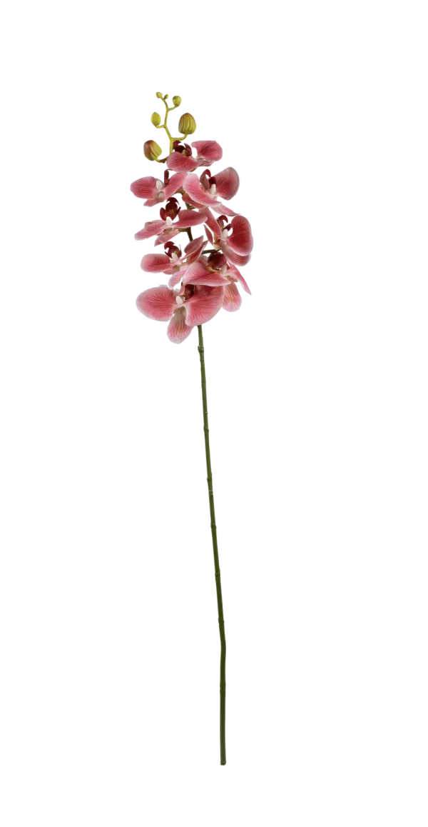Artificial Phalaenopsis Orchid — Rose Petal Pink | Vyne