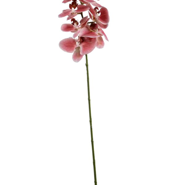 Artificial Phalaenopsis Orchid — Rose Petal Pink | Vyne