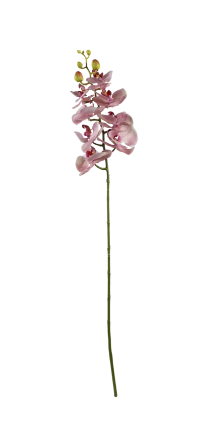 Artificial Phalaenopsis Orchid — Soft Petal Pink | Vyne