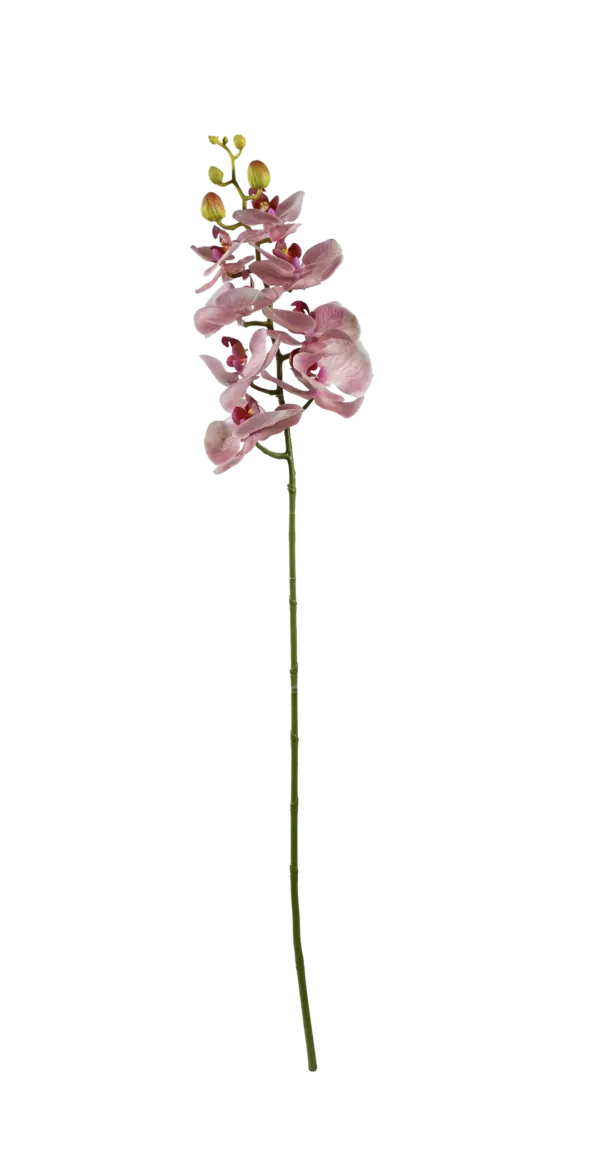 Artificial Phalaenopsis Orchid — Soft Petal Pink | Vyne