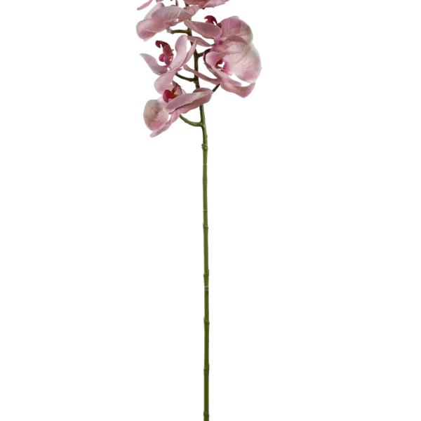 Artificial Phalaenopsis Orchid — Soft Petal Pink | Vyne