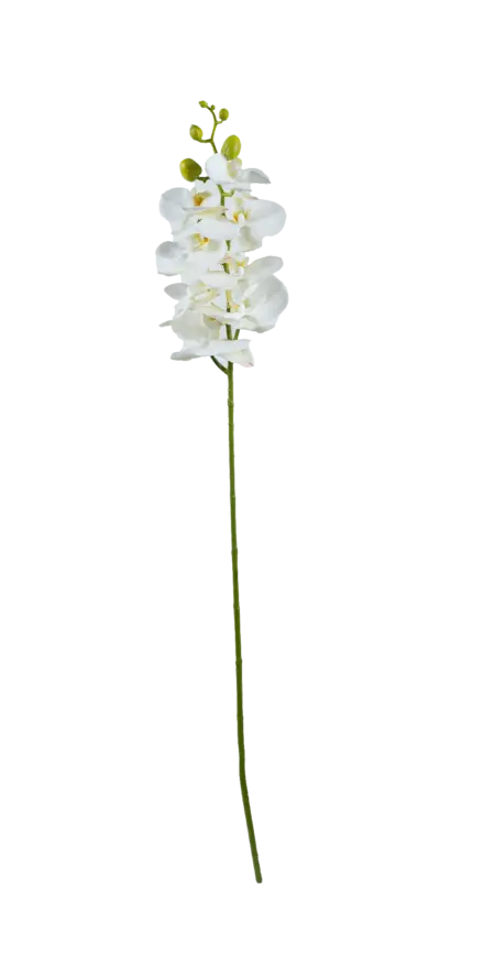 Artificial Phalaenopsis Orchid — Porcelain White | Vyne
