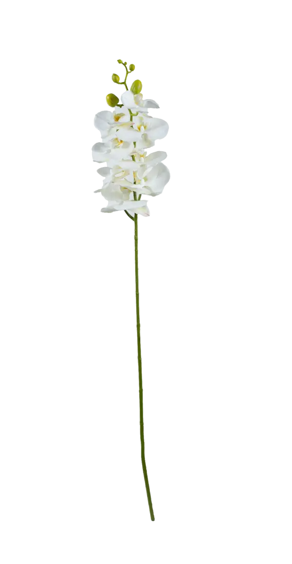 Artificial Phalaenopsis Orchid — Porcelain White | Vyne