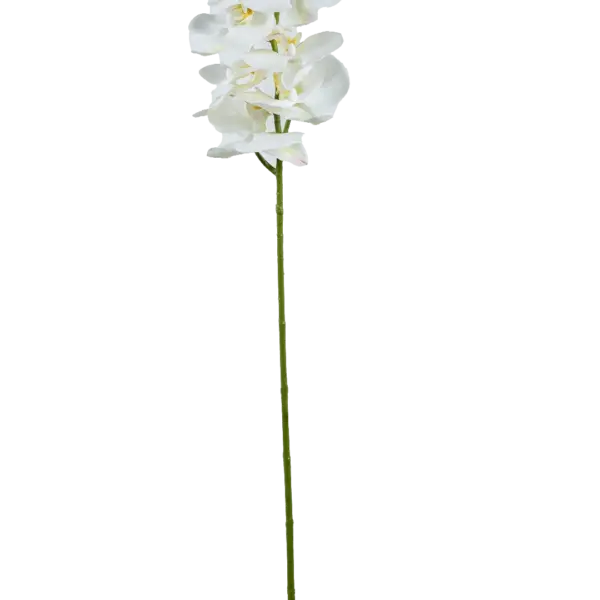 Artificial Phalaenopsis Orchid — Porcelain White | Vyne