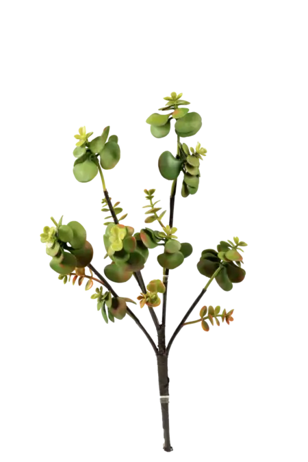 Artificial Succulent Stem — Elephant Bush Portulacaria | Vyne