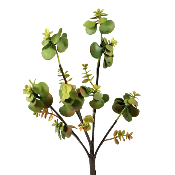 Artificial Succulent Stem — Elephant Bush Portulacaria | Vyne