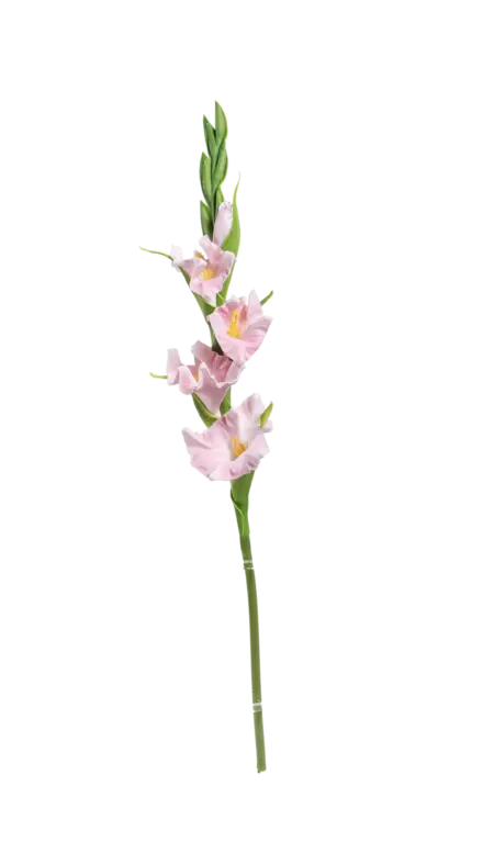 Artificial Gladiolus Flower — Blush Petal Pink | Vyne