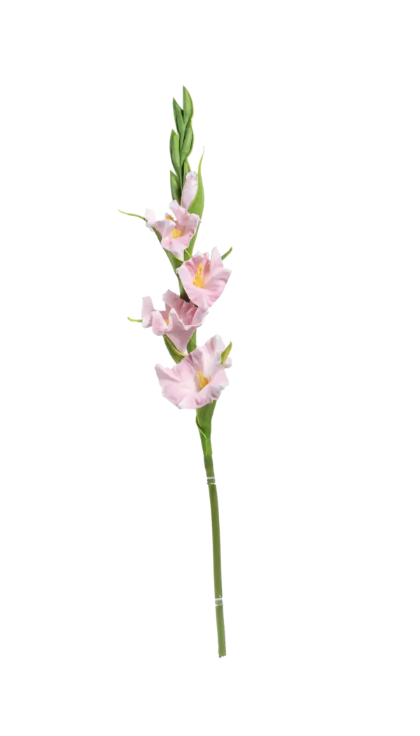 Artificial Gladiolus Flower — Blush Petal Pink | Vyne