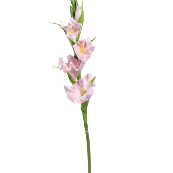 Artificial Gladiolus Flower — Blush Petal Pink | Vyne