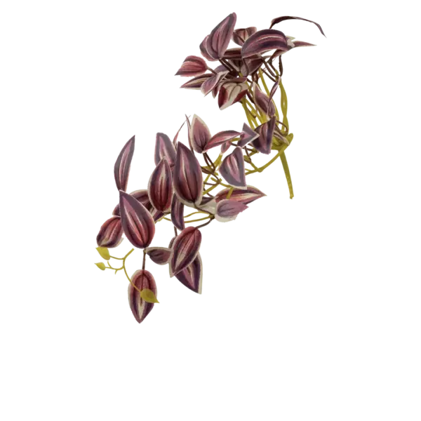 Artificial Inch Plant — Blush Mauve Variegated | Vyne