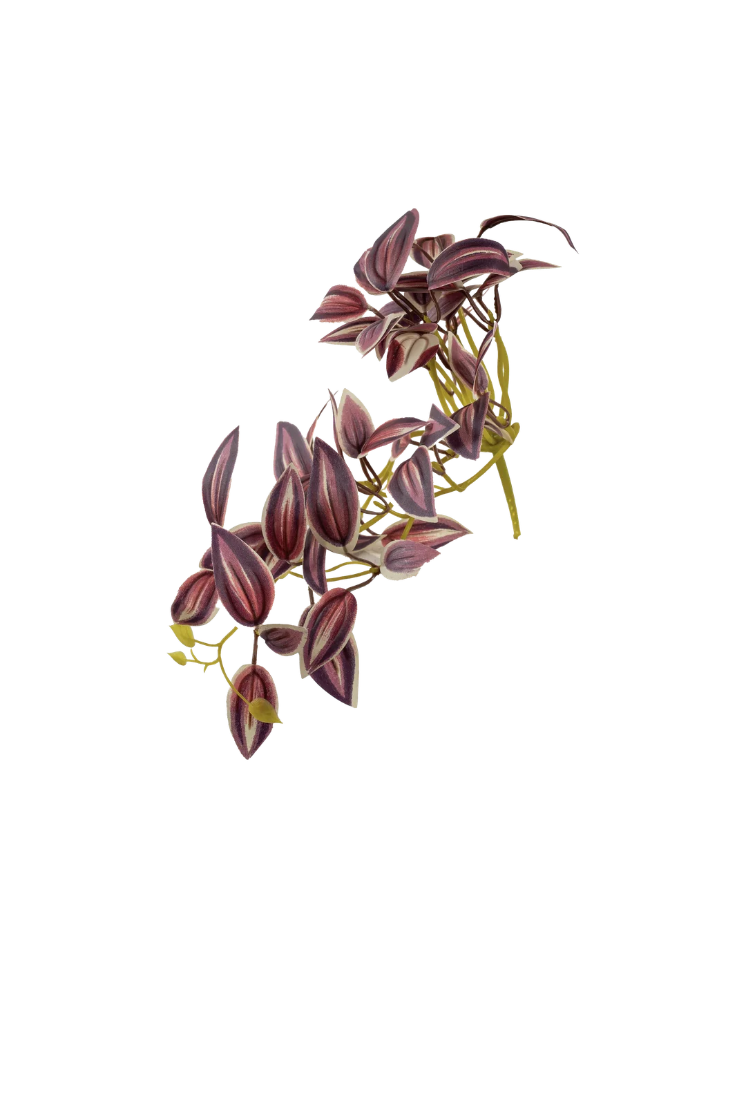 Inch Plant (Blush Mauve Variegated) | Vyne Artificial Inch Plant — Blush Mauve Variegated | Vyne