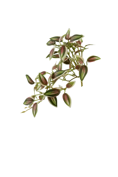 Artificial Inch Plant — Blush Mint Variegated | Vyne