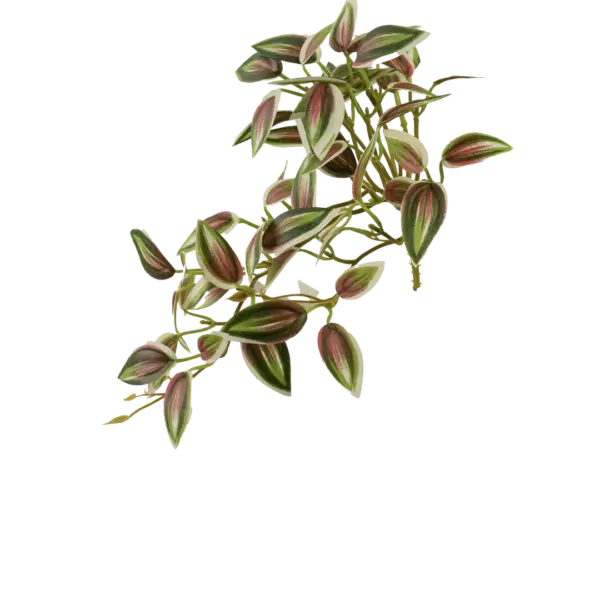 Artificial Inch Plant — Blush Mint Variegated | Vyne