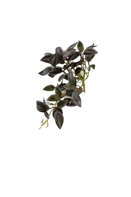 Artificial Inch Plant — Royal Plum Variegated | Vyne