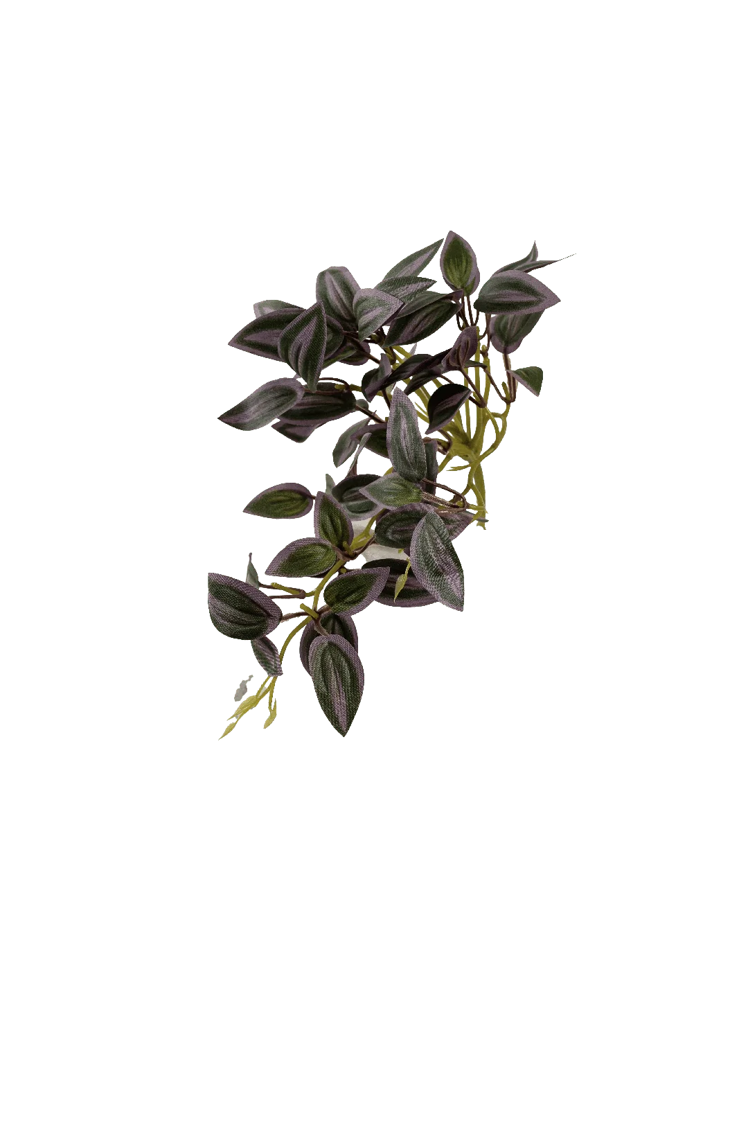 Inch Plant (Royal Plum Variegated) | Vyne Artificial Inch Plant — Royal Plum Variegated | Vyne