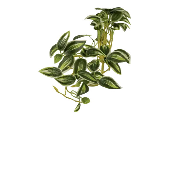Artificial Inch Plant — Silver Jade Variegated | Vyne