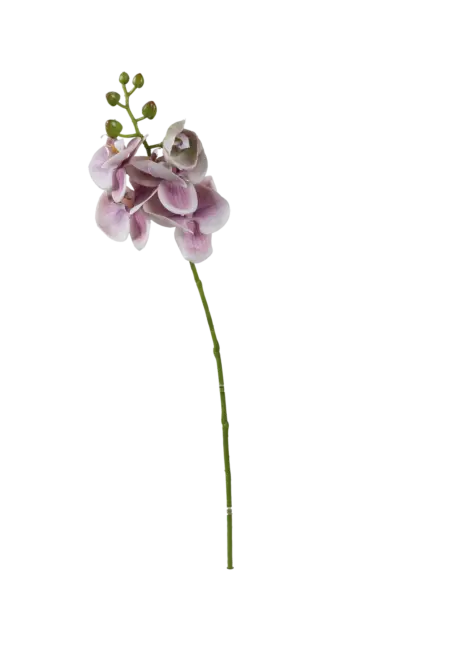 Artificial Pink Orchid — Soft Blush Veil | Vyne Boutique