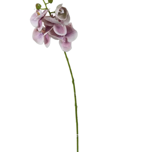 Artificial Pink Orchid — Soft Blush Veil | Vyne Boutique