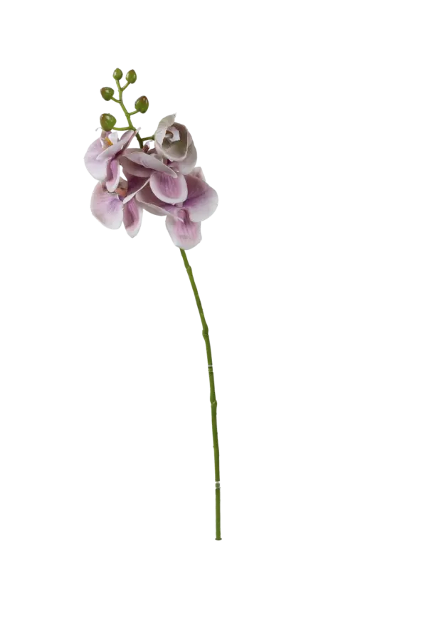 Artificial Pink Orchid — Soft Blush Veil | Vyne Boutique