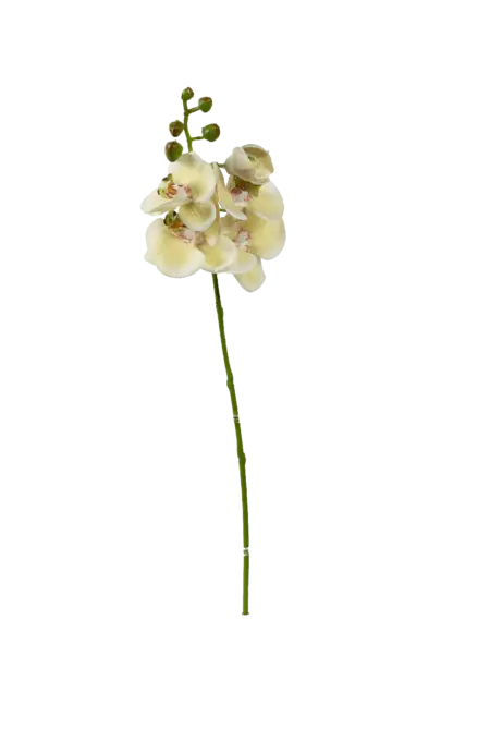 Artificial Yellow Orchid — Buttercream | Vyne Boutique
