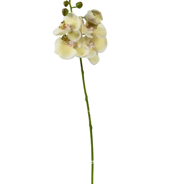 Artificial Yellow Orchid — Buttercream | Vyne Boutique