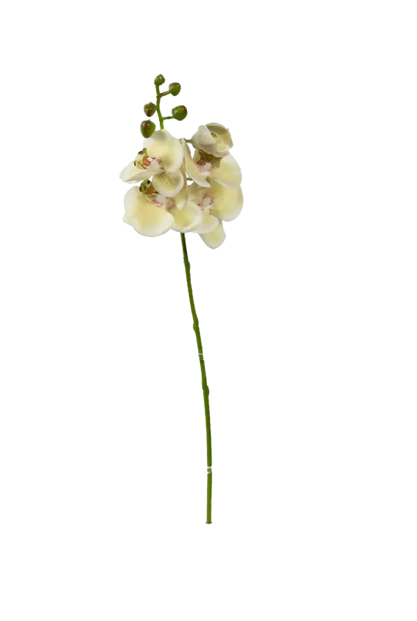 Artificial Yellow Orchid — Buttercream | Vyne Boutique