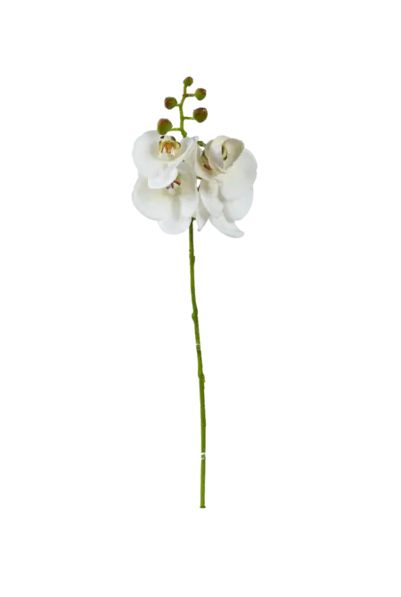 Artificial White Orchid — Pure Snow | Vyne Boutique