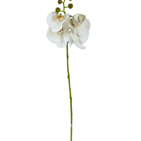 Artificial White Orchid — Pure Snow | Vyne Boutique
