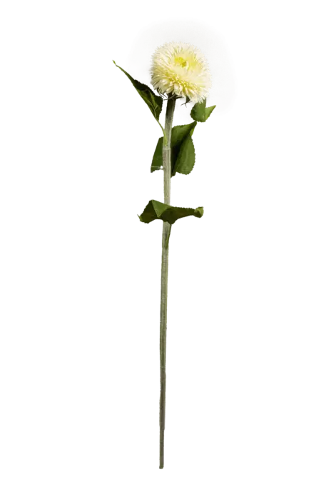 Artificial Gerbera Daisy — Ivory Frost White | Vyne Boutique