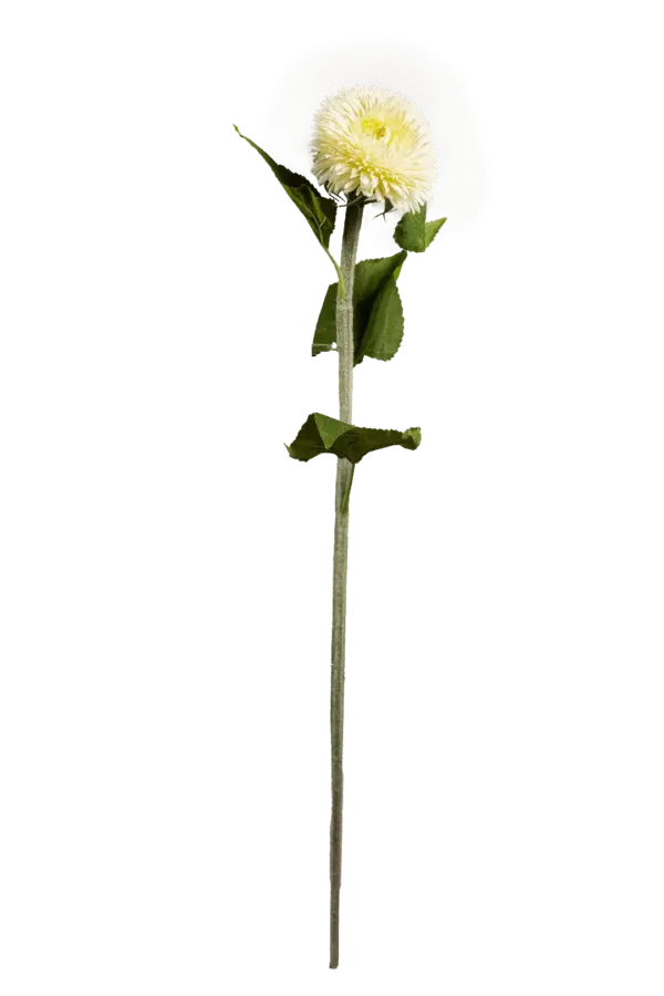 Artificial Gerbera Daisy — Ivory Frost White | Vyne Boutique