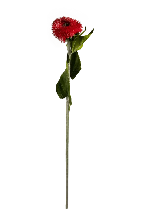 Artificial Gerbera Daisy — Crimson Velvet Red | Vyne Boutique