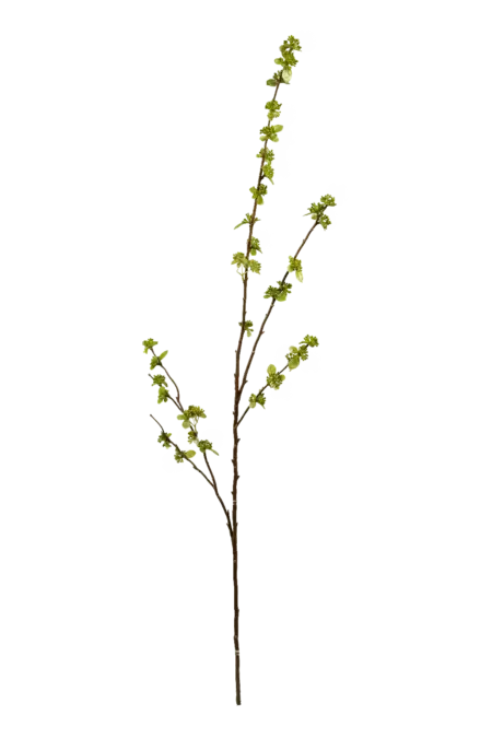 Artificial Sedum Bud Branch — Fresh Meadow Green | Vyne