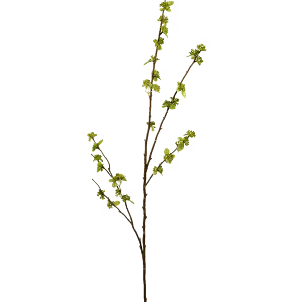 Artificial Sedum Bud Branch — Fresh Meadow Green | Vyne