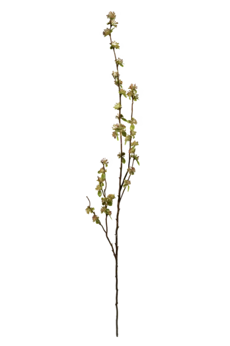 Artificial Sedum Bud Branch — Autumn Ember Orange | Vyne