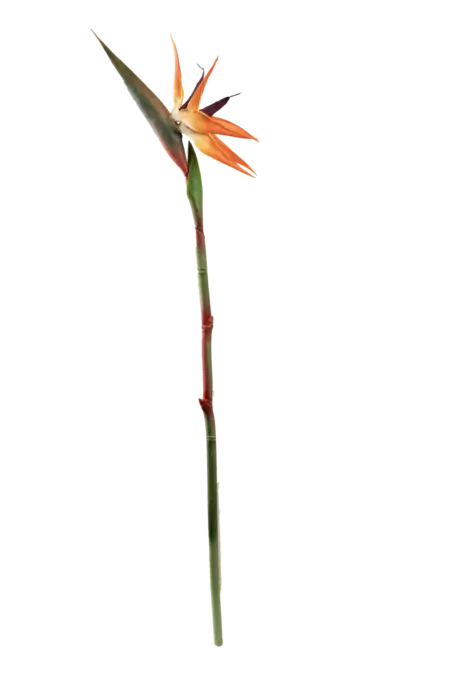Artificial Bird of Paradise — Sunset Flame Orange | Vyne