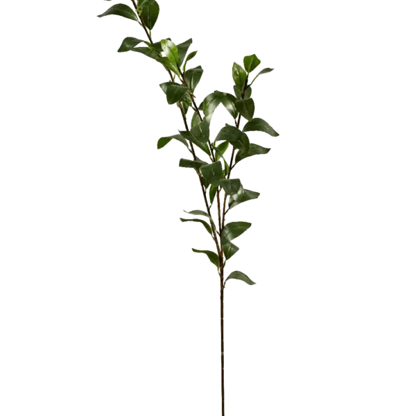 Artificial Ruscus Foliage — Deep Evergreen Italian Branch | Vyne