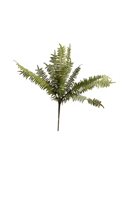 Artificial Asparagus Fern — Woodland Green Stem | Vyne