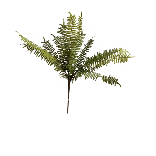 Artificial Asparagus Fern — Woodland Green Stem | Vyne
