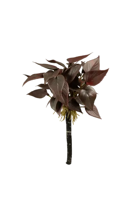 Artificial Scindapsus Plant — Burgundy Noir | Vyne Boutique