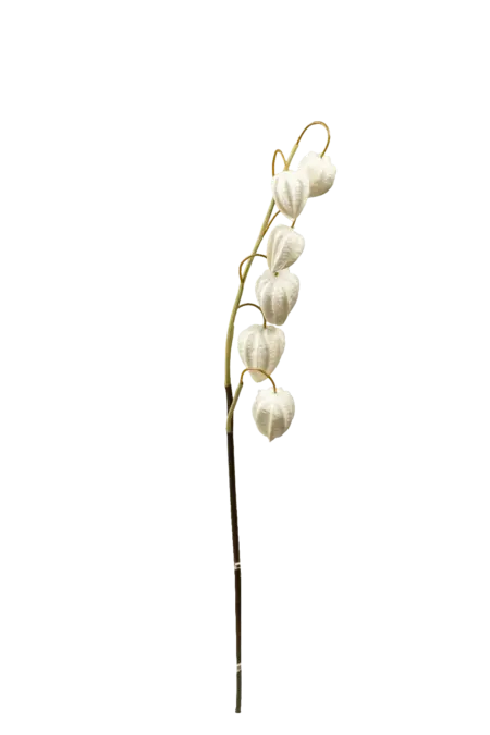 Artificial Chinese Lantern — Porcelain Snow White | Vyne