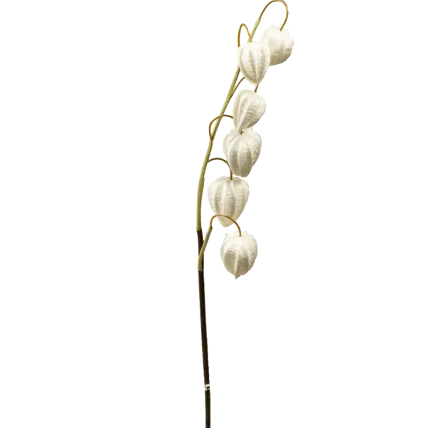 Artificial Chinese Lantern — Porcelain Snow White | Vyne