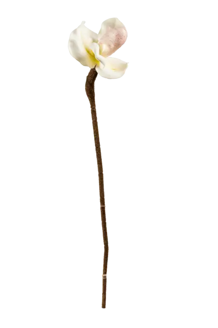 Artificial Venus Slipper Orchid — Ivory Whisper | Vyne