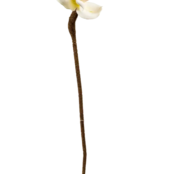 Artificial Venus Slipper Orchid — Ivory Whisper | Vyne