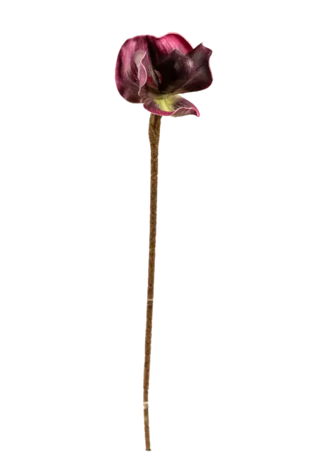 Artificial Venus Slipper Orchid — Velvet Plum | Vyne