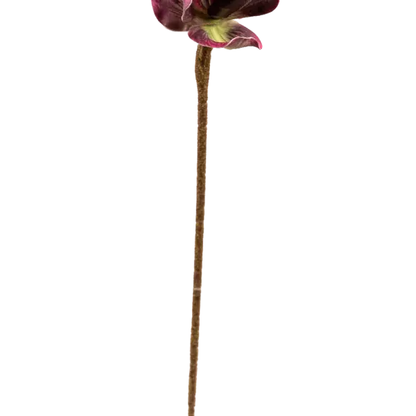 Artificial Venus Slipper Orchid — Velvet Plum | Vyne