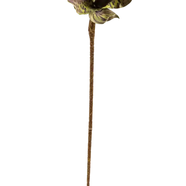 Artificial Venus Slipper Orchid — Smokey Amethyst | Vyne